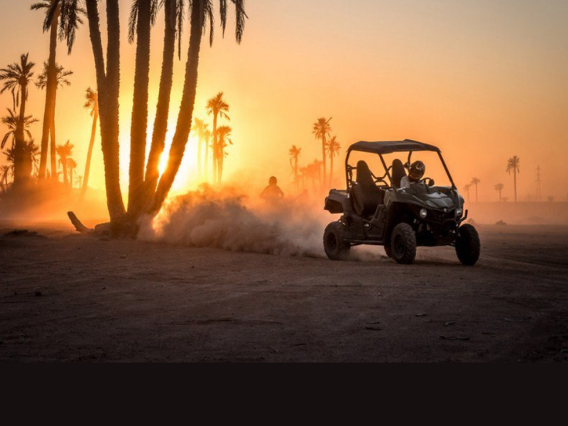 Journey of Discovery Through Culture, History & Natural Wonders